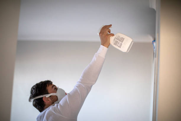 Best Office Mold Removal Services  in Auburn Hills, MI