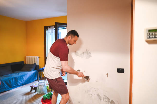 Best Mold Remediation  in Auburn Hills, MI